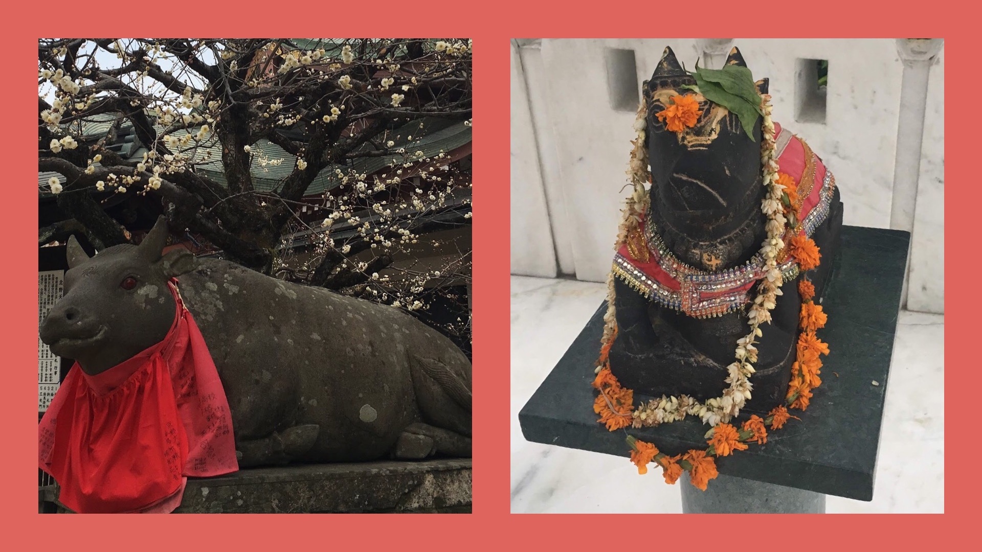 京都・北野天満宮のシンボルである牛とインド、ヒンドゥー教との関連性